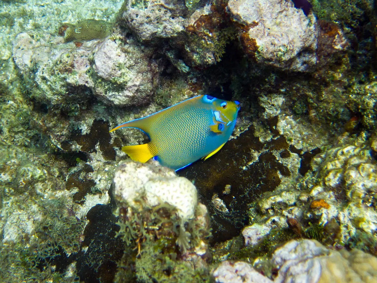 Images Captured in the Heart of Yap Island