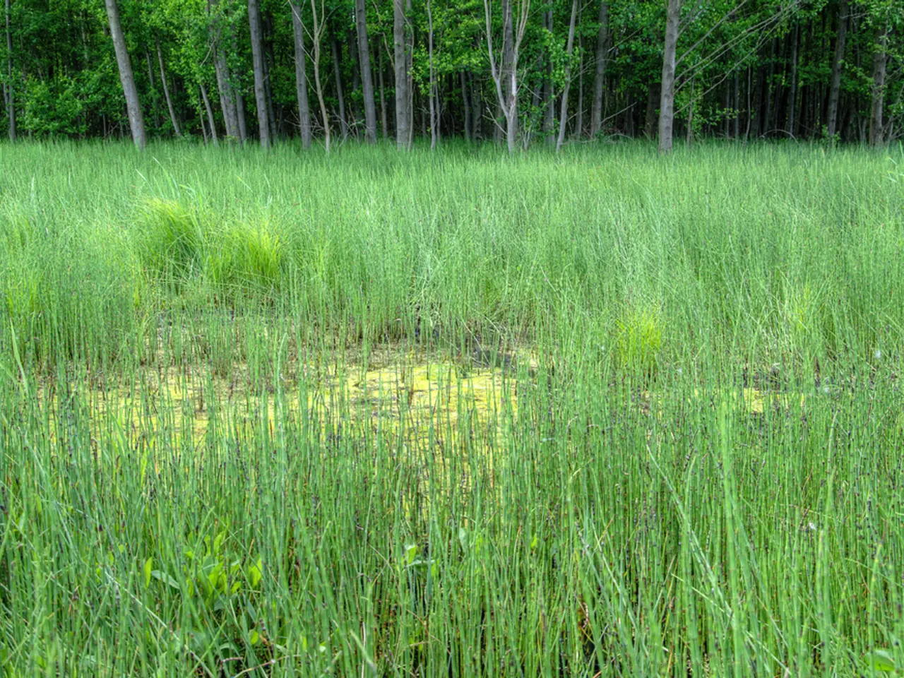 Agricultural learning centers and children-focused educational farms around Lecce