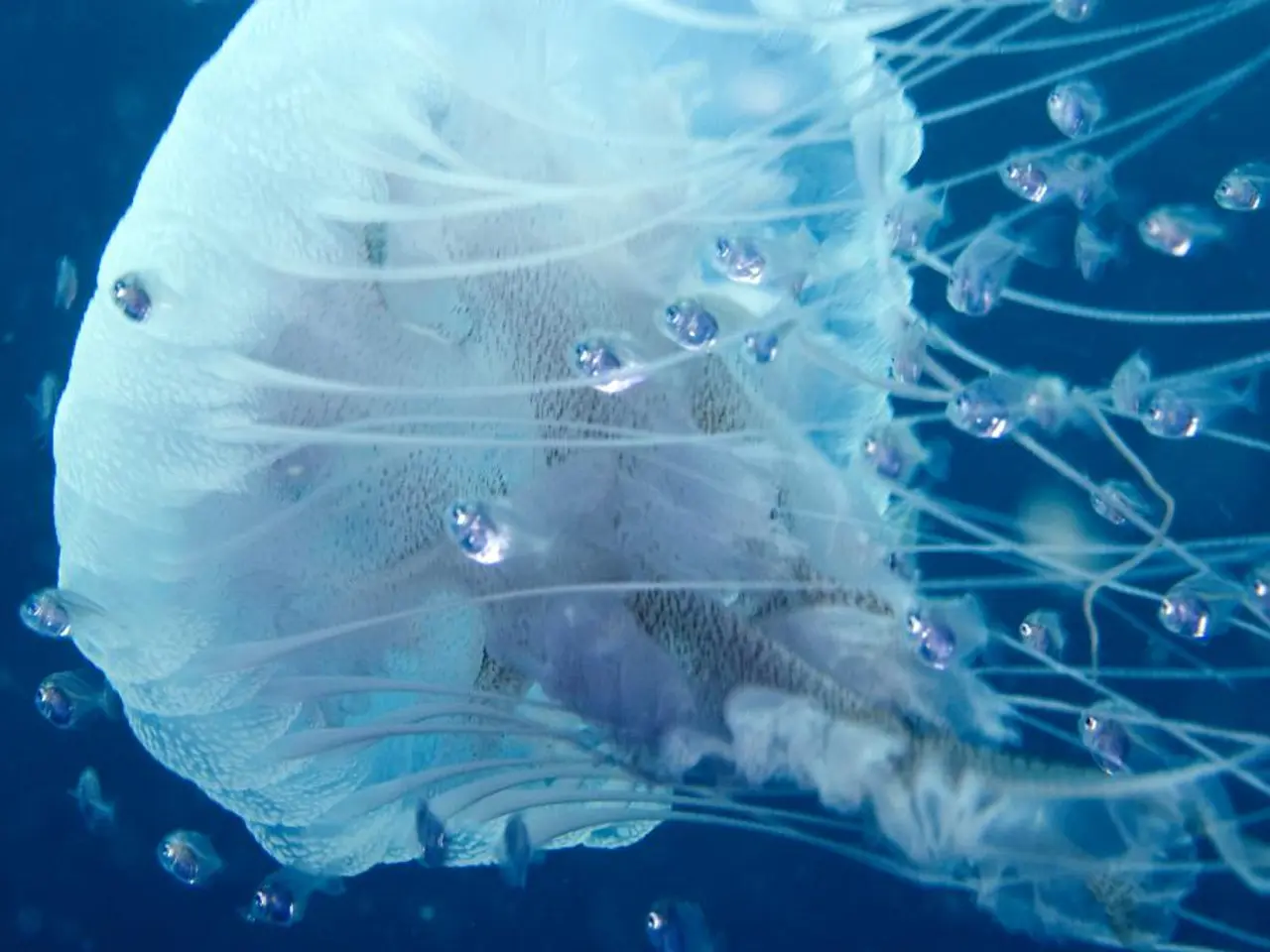 "Germany-wide Vacation: Exploring the Benefits of Early Departures and Late Arrivals"