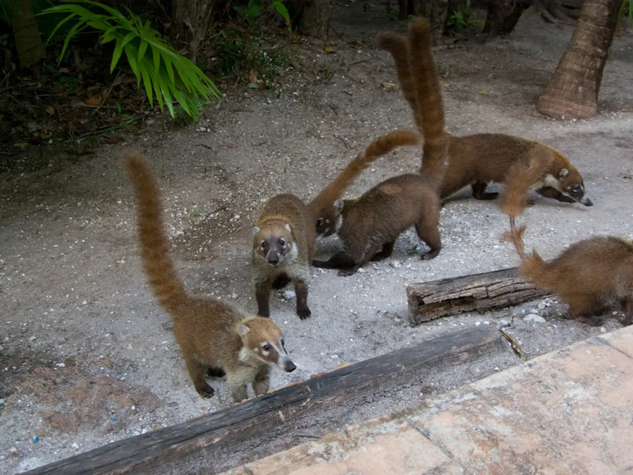 Popular Hashtags for Nature Lovers to Employ on World Wildlife Day 2025