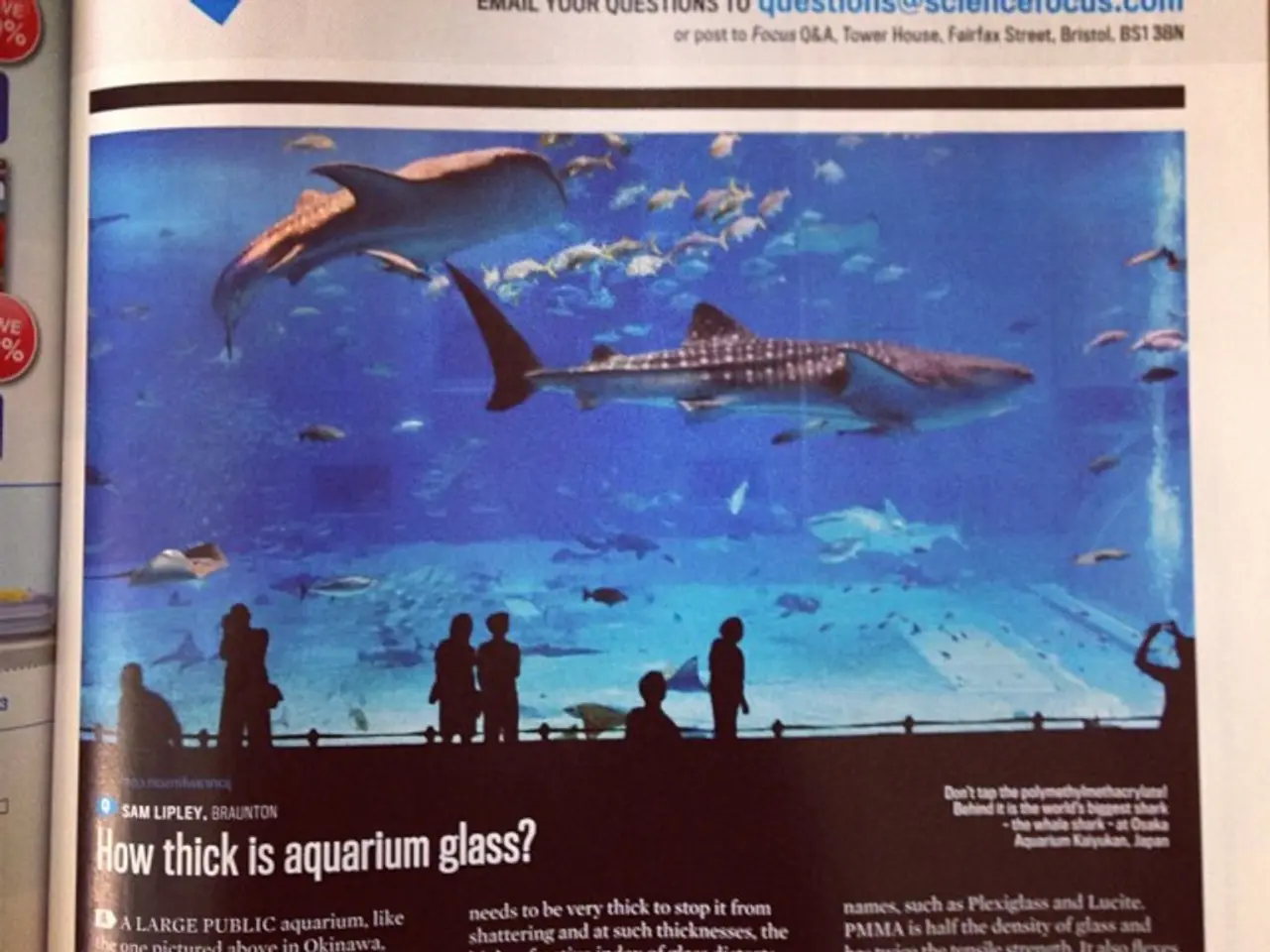 Wealthy immigrant Leo XIV's residence