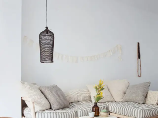 Semi-Aquatic Haven Construction Guide: Building a Vibrant Paludarium Ecology