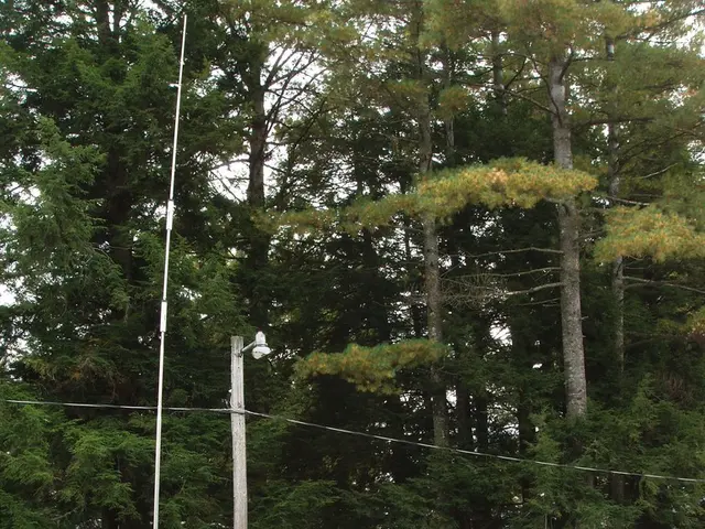 Ideal Caravan for Temporary Campsite Installations