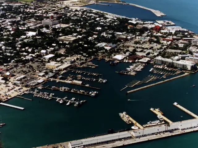 On-the-Go Adventures: San Francisco Bay Journeys