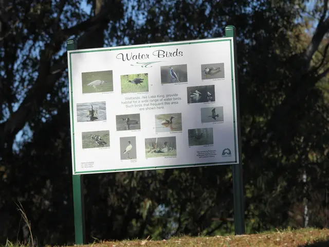 Planting appropriate vegetation to attract avian fauna: Choosing trees and shrubs that cater to...