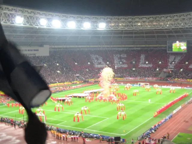 Festival Emergency Management in Bremen and Germany: Guest Responsibility in Crowd Control