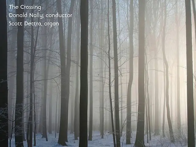 Writing Inspiration for Winter: Over 30 Engaging Ideas to Spark Creativity