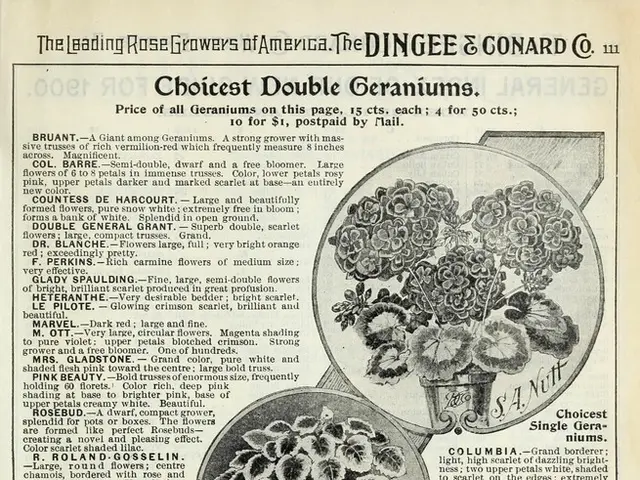 Hand-drawable Shamrock Pattern Inspired by Zentangle Artwork