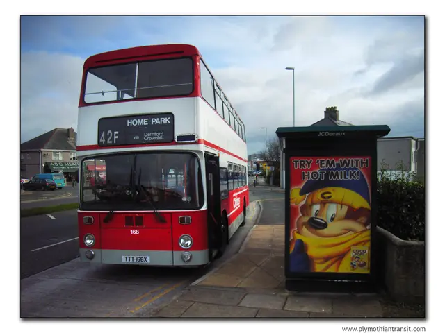 Comparing Disneyland and Disney World: Choosing the Ideal Destination for You