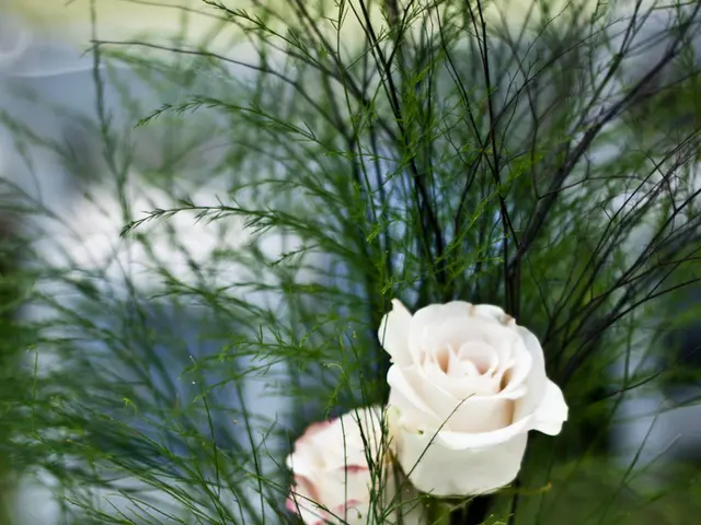 Top 10 Timeless Wedding Blossoms to Elevate Your Special Occasion!