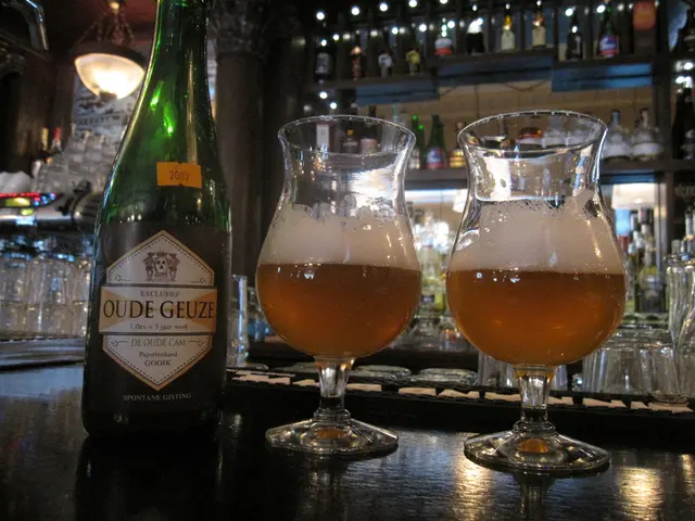 Bus routes for Schiersteiner Harbor Festival and Hochheim Wine Festival: Bus Operation Details