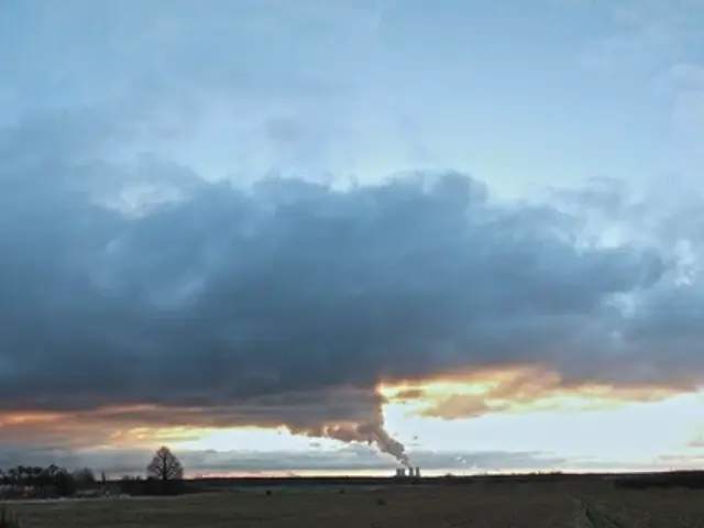 Unveiling the Extensive Effects of Dust Across California