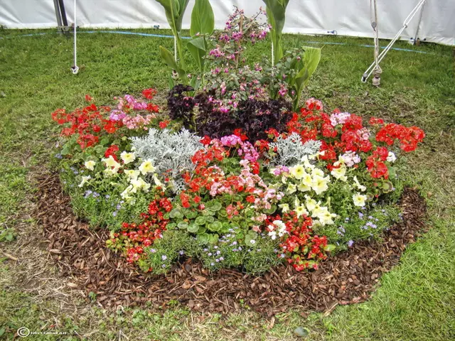 Flowers Thriving in Wet Soil: Top Picks for Humid Gardens