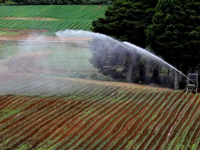 Irrigation Strategies in Morocco: Insights and Takeaways