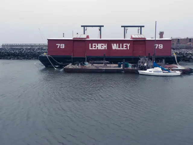 Holland's Unassumingly Pristine Beach, Overlooked by Many, Offers Stunning Vistas