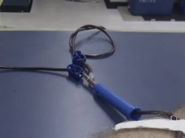 Exploring Thyroid Health: Delving into Thyroid Gland Examination Procedures