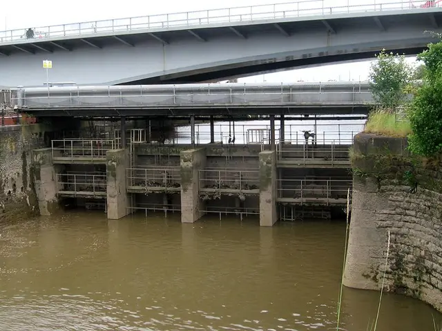 Controversy Surrounding Hydropower: Balancing Clean Energy Production with Environmental Impact