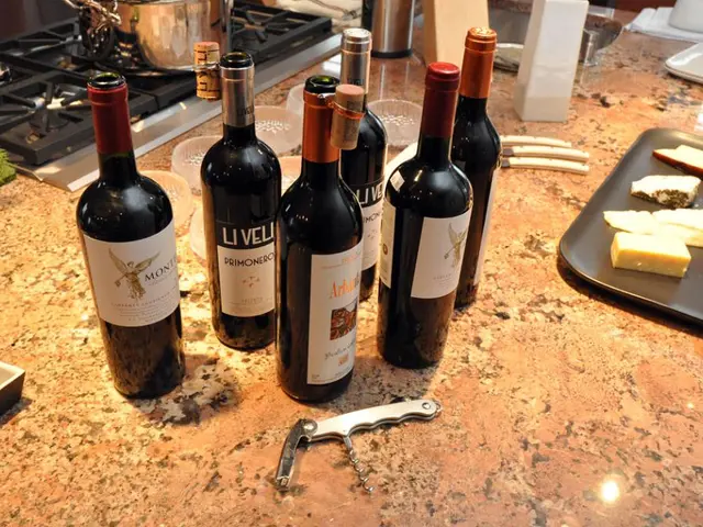 Outdoor kitchen countertop varieties: Exploring durability and aesthetics in design