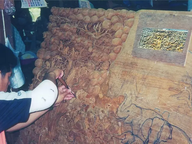 Independence Day SVG Designs Unrestricted for Download