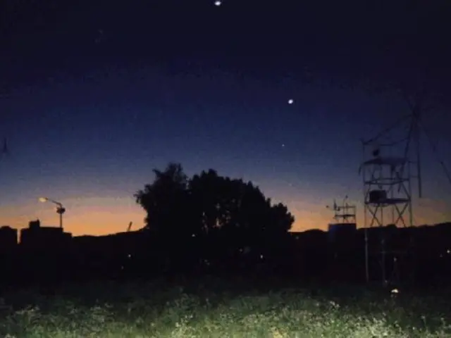 Top 21 Houseplants that Thrive in Subdued Light Conditions