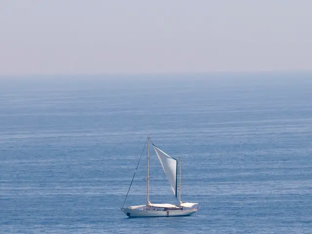 This week has been our forte.