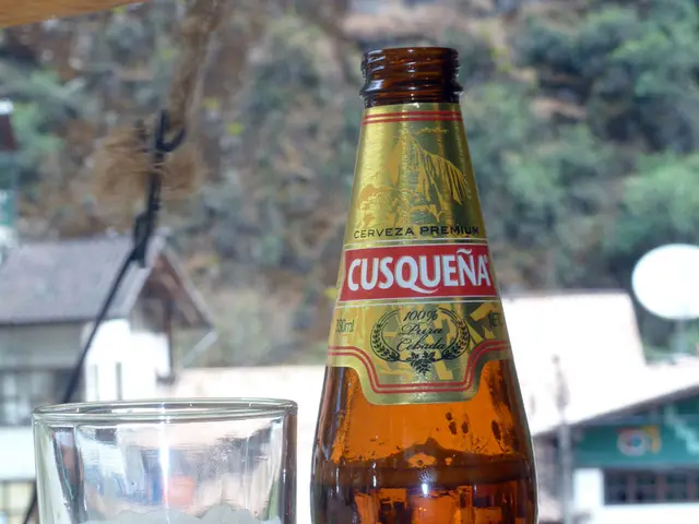 Premium Vineyard Getaways for the Ultimate Wine Connoisseur Journey