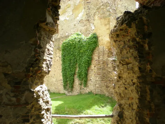 Bonsai Pot Decorations: Striking a Balance between Aesthetics and Detail