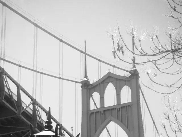 Amsterdam's Iconic Love Lock Bridge Location [2025 Update]