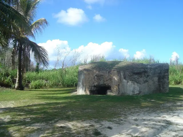 The Waipu Cave, bustling with glowworm activity, adds to the list of locations in New Zealand's...