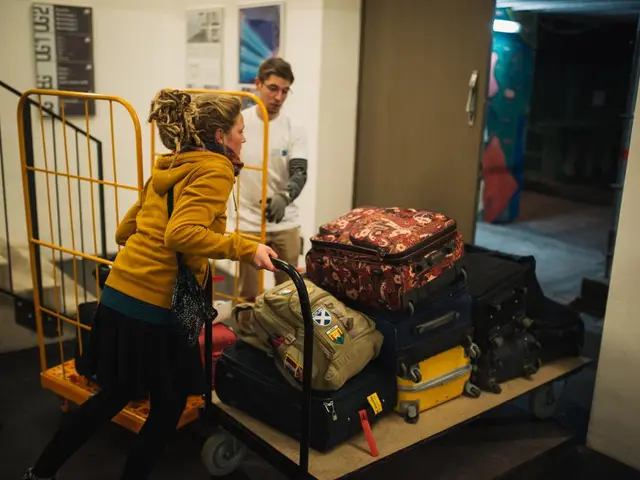 Premier Luggage Tags of 2024 for Elite Travelers: Unmissable Collection of 12 Luxurious Tags for...