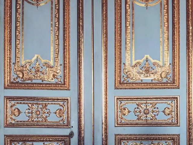 User's Preference versus Designer's Viewpoint: Who Wields the Greater Influence?