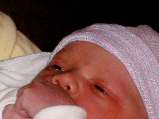 Identifying Criteria for Cerebral Hemorrhage in Infants: A Handbook for Parents