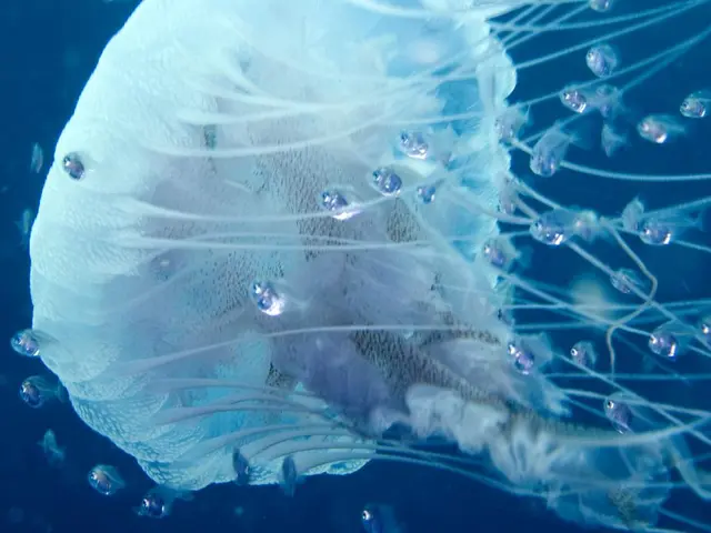 "Germany-wide Vacation: Exploring the Benefits of Early Departures and Late Arrivals"