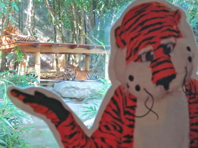 Tiger Families in India Manage Tourism Amidst International Tiger Day 2025 Celebrations