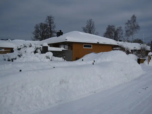 Arctic Chill Wreaks Havoc: Exposing the Brutal Winter Conditions for Citizens Across the Nation