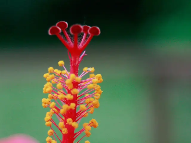 Rain doesn't always alleviate symptoms for allergy sufferers.