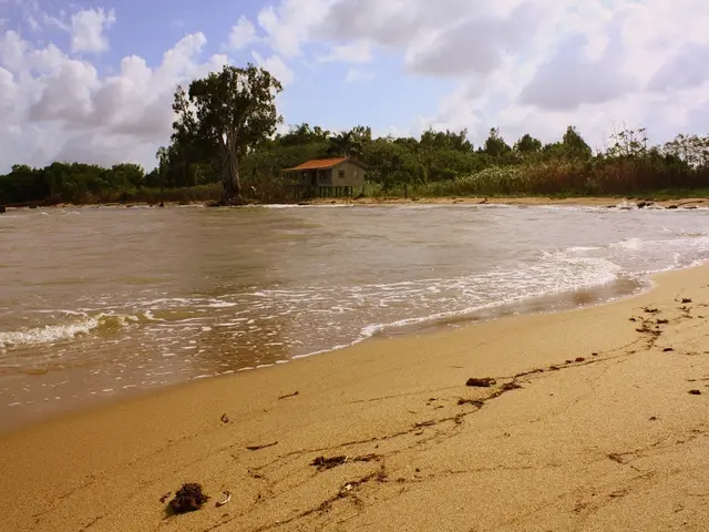 Uncovering San Diego's Ideal Seaside Abode: A Guide