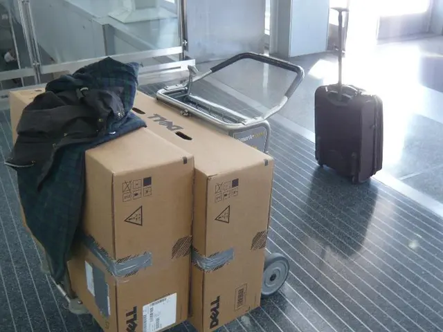 Traveling professional critiques eBags Packing Cubes in an in-depth evaluation!