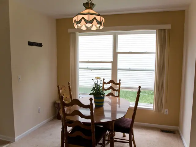 Strategic Placement of Indoor Plants in Your Living Space!