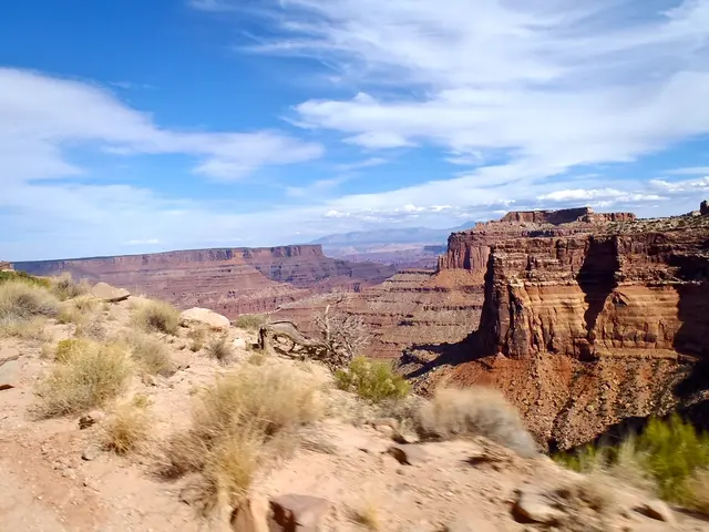 Exploring the Thrilling and Engrossing Alpine Hiking Trail in New Hampshire's White Mountains