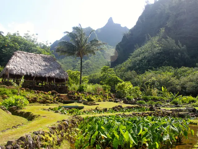 Understanding Pudendal Neuralgia: A Pinched Nerve in the Pelvis Region Causing Chronic Pain