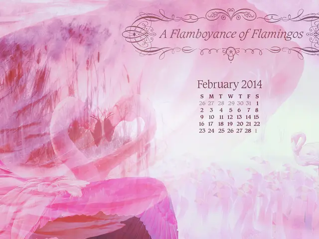 On Sunday, the stars are meant for you