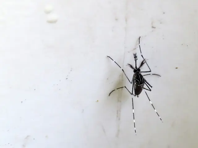 Confirmation of first West Nile Virus case in Kentucky prompts calls for preventive measures among...