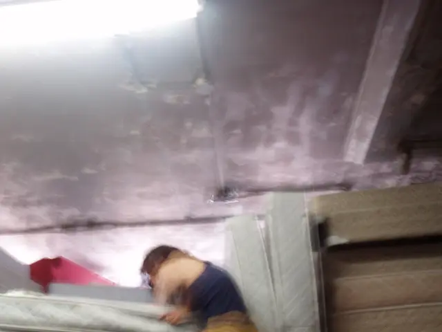 Avoid these mattresses when making your purchase