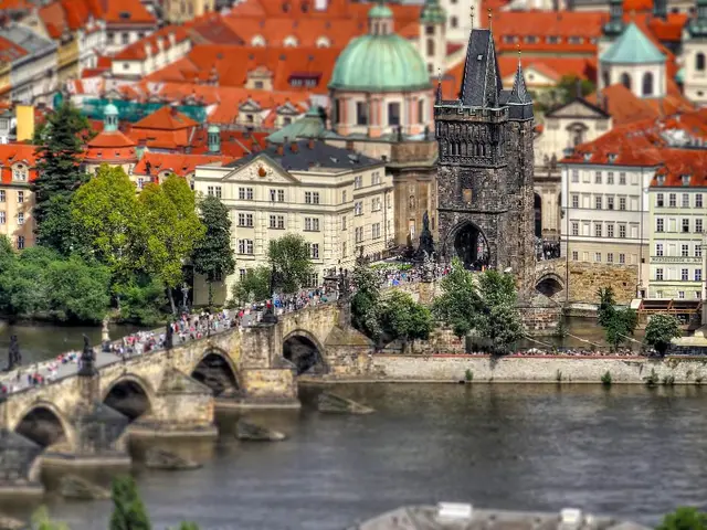 Guided Excursions Around Present-day Urban Locales