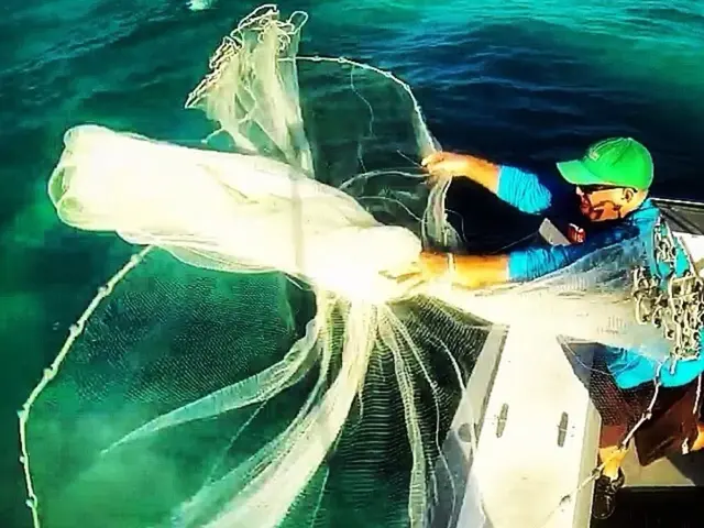 Young sailor Robin Lee Graham achieves a major feat, navigating the globe alone at a tender age.