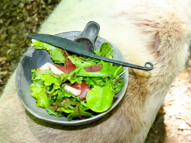 Severe Ulcerative Colitis: Symptoms, Triggers, and Details