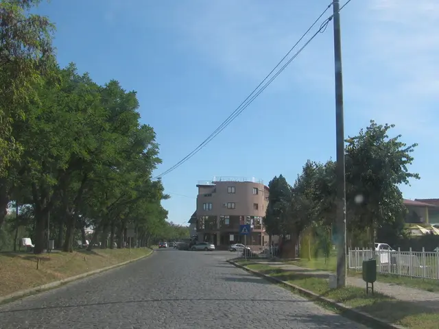 Navigate the Jaecoo 7 SUV along South Africa's renowned Garden Route