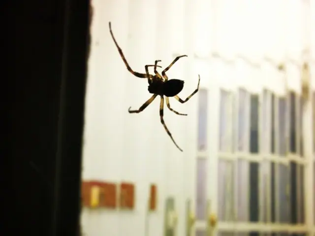 Uncapped Crusader on the Loose: Turkey's Roaming Spider-Man Brings Cheer and Optimism Across the...