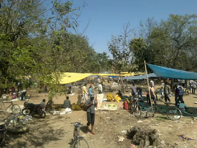 Can wild camping anywhere be legally permitted?